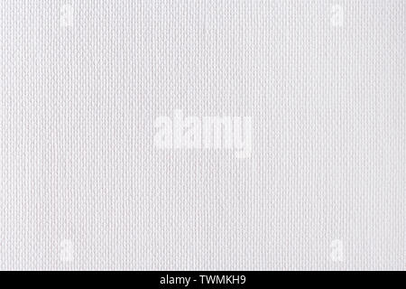 A White Canvas texture. Good for backgrounds for art work. Stock Photo