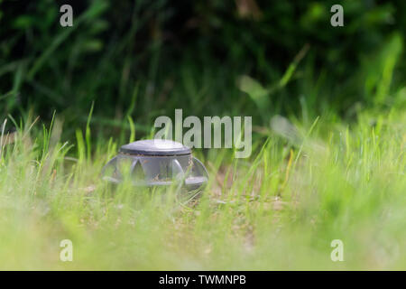 Closeup of an up sprinkler in a green lawn. Hamburg, Germany Stock Photo