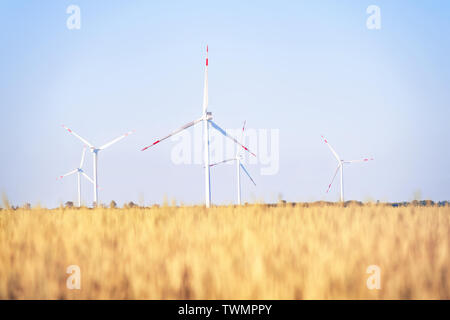 Wind power plant in the golden wheat field. Bright summer landscape Stock Photo