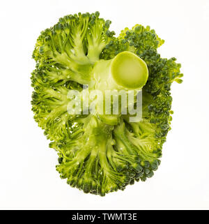 Broccoli (broccoli, broccoli, broccoli, brokoli, broccoli sprout, brassica oleracea) portion and very fresh (with water drops). Isolated on white back Stock Photo