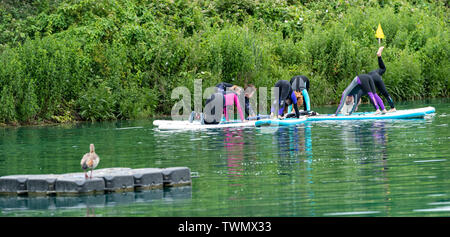 Upminster, Essex, UK. 21st June 2019. A new wellness initiative was launched today by Yogactive: Stand up Paddleboard Vinyasa yoga held at Stubbers Adventure Centre Upminster Essex Credit Ian Davidson/Alamy Live News Stock Photo