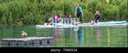 Upminster, Essex, UK. 21st June 2019. A new wellness initiative was launched today by Yogactive: Stand up Paddleboard Vinyasa yoga held at Stubbers Adventure Centre Upminster Essex Credit Ian Davidson/Alamy Live News Stock Photo