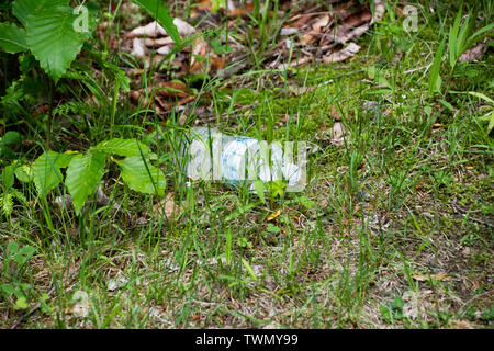 An empty plastic water bottle thrown in the weeds on a wilderness  forest road in the Adirondack Mountains, NY USA Stock Photo