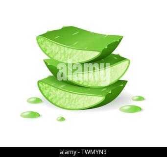 Aloe Vera cut pieces, realistic green plant, leaves or cut pieces with aloe dripping juice Stock Vector