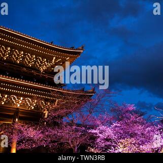 Sanmon Gate of Chion-in (Chionin) Temple at dusk with cherry blossom or sakura, Kyoto, Japan Stock Photo