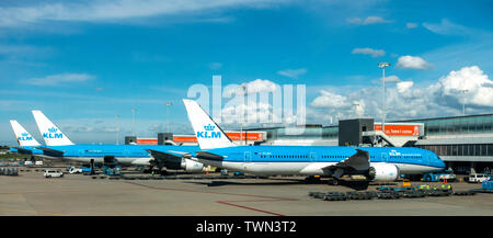 Aeroplanes in KLM livery, including PH-BHI, a Boeing 787 dreamlines and PH-BVI, a Boeing 777 on the apron at Schiphol Airport, Amsterdam Stock Photo