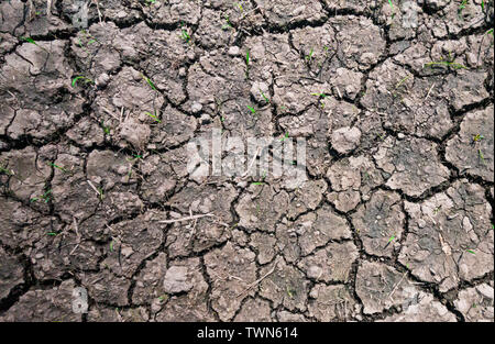 Contraction cracks in dry earth caused by below-average precipitation in a region. In rural countryside area. Top view. Abstract. Background. Stock Photo