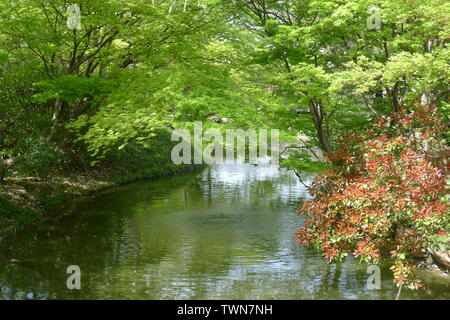 River Channel in the Fort Worth Botanic Garden Stock Photo