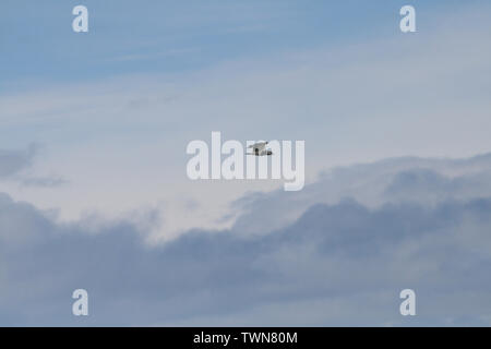 in the sky of Punta Arenas flying a lonesome seagull Stock Photo