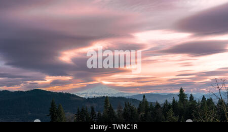 Pink cloudy summer sky above Pacific Northwest Mountains and Tree tops Stock Photo