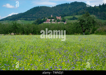 The castle Ortenberg in the Kinzig valley in Germany Stock Photo