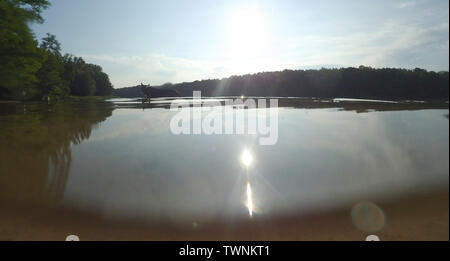 Berlin, Germany. 22nd Mar, 2016. The sun is reflected in the Grunewaldsee, while a dog takes a bath. Credit: Paul Zinken/dpa/Alamy Live News Stock Photo