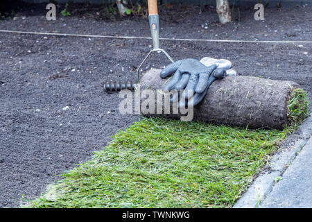 Applying natural turf rolls in the garden. Conceptual image. Stock Photo
