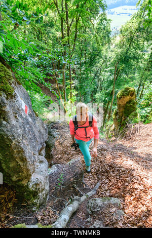 Young woman on challenging root trail in forest Stock Photo