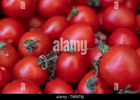 Group of fresh tomatoes. Small red cherry tomatoes Stock Photo