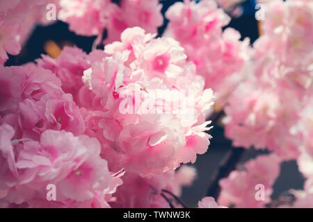 Pink fake flowers, background, texture Stock Photo