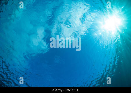 Sunlight streaming through the surface of the Pacific Ocean Stock Photo ...
