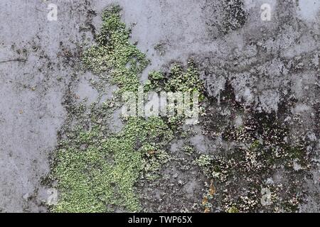 Close up detailed view on plastic foil and plastic surfaces in high resolution Stock Photo