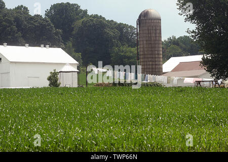View on an Amish farm, with clothes drying on the line, a corn field in foreground, and storage structures in the back. Lancaster County, PA, USA. Stock Photo