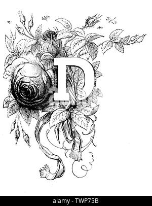 Ornate capital letter D, a floral start chapter, typographic vintage engraving Stock Photo