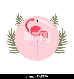 summer time holiday flamingo badge tropical leaves vector illustration ...