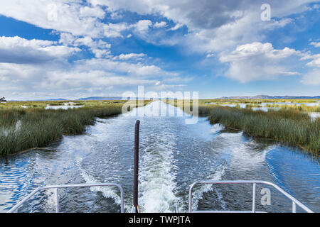 Travelling on a boat through a channel in the totora reeds on Lake Titicaca, Peru, South America Stock Photo