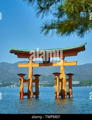 Itsukushima Torii, floating gates framed by pine tree branches. Stock Photo