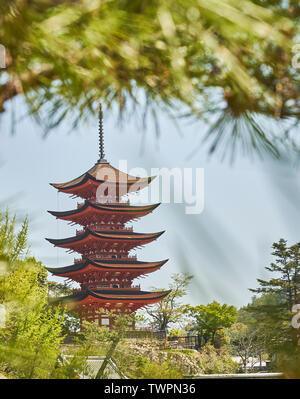 Toyokuni shrine five story pagoda seen from behind the pine trees. Stock Photo