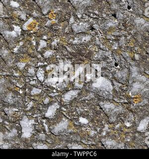 Detailed seamless texture of asphalt on a road in high resolution Stock Photo