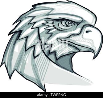 Hand drawn vector illustration or drawing of an eagle head Stock Vector