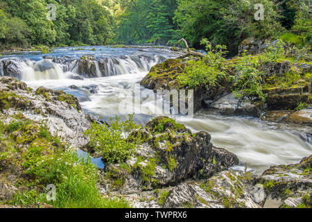 The Cenarth Falls on the River Teifi on the Carmarthenshire Cardiganshire and Pembrokeshire Border in West Wales Stock Photo
