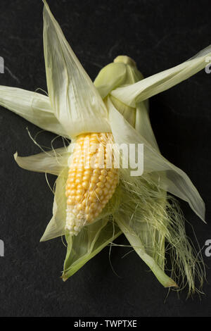 A raw, uncooked sweetcorn cob imported from Spain, with leaves peeled back to reveal kernels, bought from a supermarket in the UK and displayed on a s Stock Photo