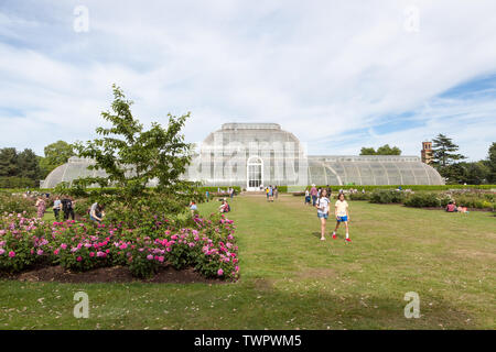 People milling about the rose garden next to the Palm House in Kew Gardens, Richmond, London. Stock Photo