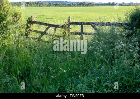 Old wooden gates into a field in the cotswolds, Gloucestershire, England Stock Photo