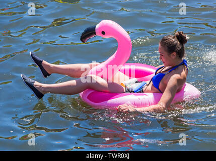 Iford, Dorset, UK. 22nd June 2019. Perfect weather, warm sunny and still, for Dorset Dinghy Day with hundreds of inflatables, dinghies, crafts, boards forming a flotilla, setting sail from Iford bridge down the River Stour to Tuckton bridge. The event started in 2014 as a little bit of fun, but has now become an annual event raising money for charity and getter bigger each year. Woman having fun on inflatable pink flamingo inflatable. Credit: Carolyn Jenkins/Alamy Live News Stock Photo