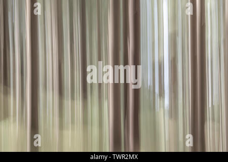 Abstract piece of art, motion blur of a forrest photography Stock Photo