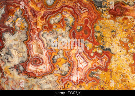 Australian crazy lace agate. Origin: Marillana, Australia. Courtesy of ZRS Fossils, By Dominique Braud/Dembinsky Photo Assoc