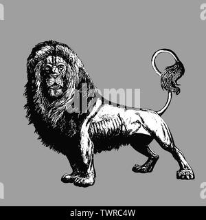 Lion silhouette.  Lions illustrations. Big cat drawing. Stock Photo