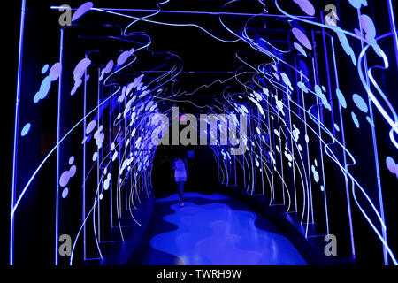 Los Angeles, USA. 20th June, 2019. A woman visits the Pop-Up Disney! A Mickey Celebration at Disneyland Resort in Anaheim, California, the United States, June 20, 2019. The exhibition featuring Mickey and Minnie-themed rooms celebrates 90 years of Mickey Mouse. Credit: Li Ying/Xinhua/Alamy Live News Stock Photo