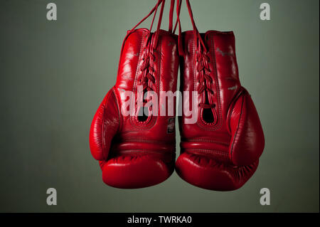 Boxing gloves hanging from laces on a grey background. Stock Photo