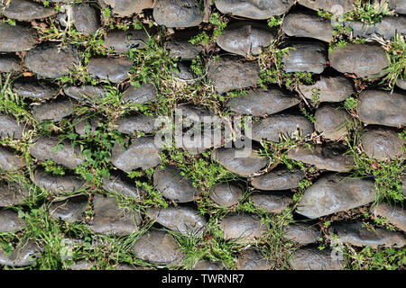 Lovely texture of an outdoor floor made of asymmetric rocks / tiles. In between those there is some green grass growing. Beautiful earthy tones. Stock Photo