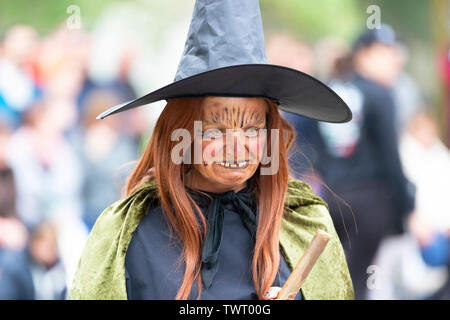 Cat festival in Ieper, Belgium Stock Photo