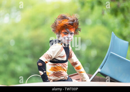 Cat festival in Ieper, Belgium Stock Photo