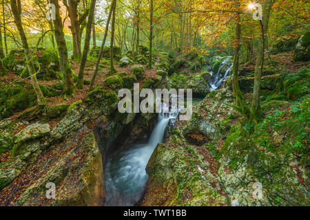 Sun filtering through the canopy in the autumn forest in Slovenia. Multiple waterfalls with autumn foliage. Beautiful serene scene in fall. Stock Photo