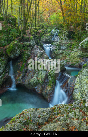 Lovely pristine mountain creek with emerald water has multiple small waterfalls and pools. Autumn vegetation, foliage along stream in Slovenia. Stock Photo