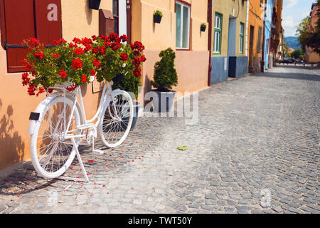 Ornamental bicycle with flowers on it on the streets of downtown Sibiu Stock Photo