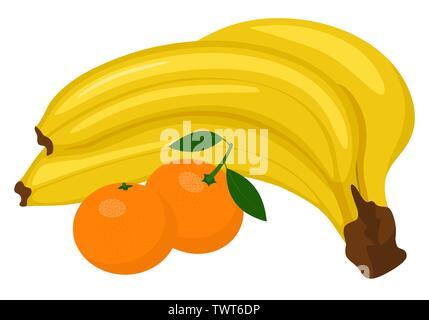 Bunch of bananas and Tangerine or clementine with green leaf isolated on white background. Vector illustration Stock Vector