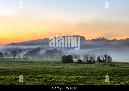 early morning sunrise landscape with bushes in fog near river at summer. Stock Photo