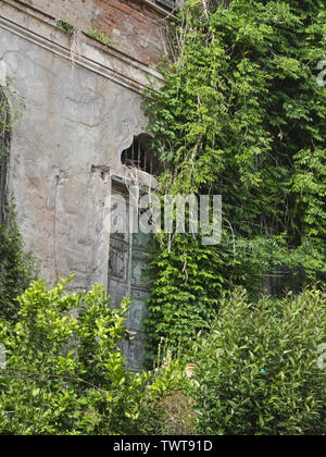 part of facade of an old abandoned villa: wooden door surrounded by plants and vegetation Stock Photo