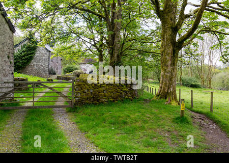 A isolated farmhouse undergoing renovation alongside the Four Waterfalls Walk in the Brecon Beacons National Park, Powys, Wales, UK Stock Photo